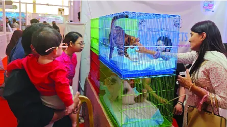 বিরল গরু-ছাগল-পাখি  দেখতে দর্শনার্থীদের ঢল