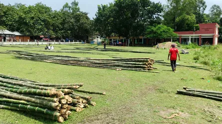 বিদ্যালয়ের মাঠ দখল করে বসছে বাঁশের হাট, ঝুঁকিতে শিক্ষার্থীরা