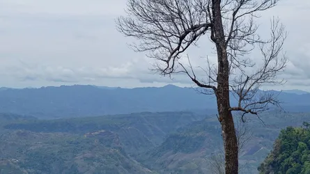 বান্দরবানে পর্যটন নিষেধাজ্ঞার নোটিশটি ভুয়া : জেলা প্রশাসন