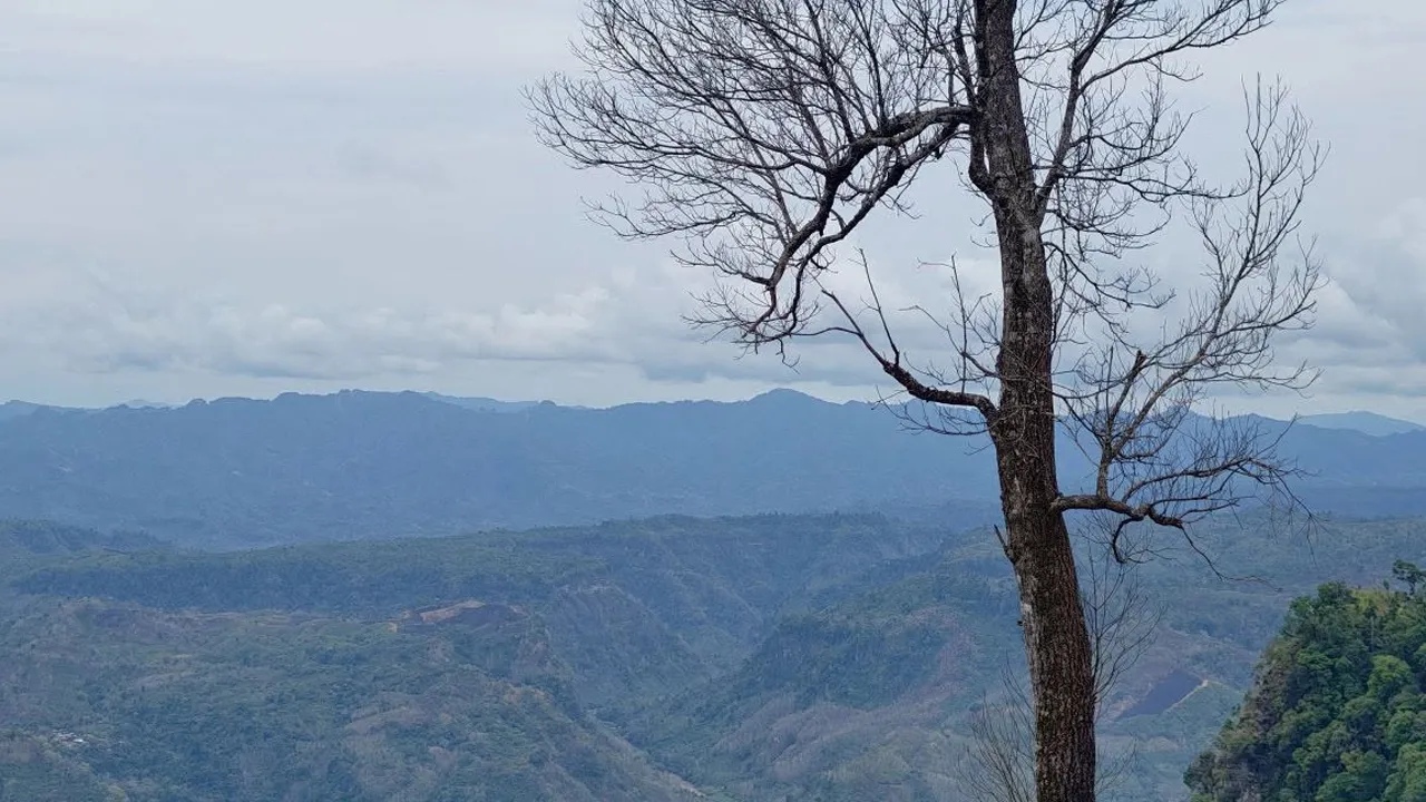 বান্দরবানে পর্যটন নিষেধাজ্ঞার নোটিশটি ভুয়া : জেলা প্রশাসন