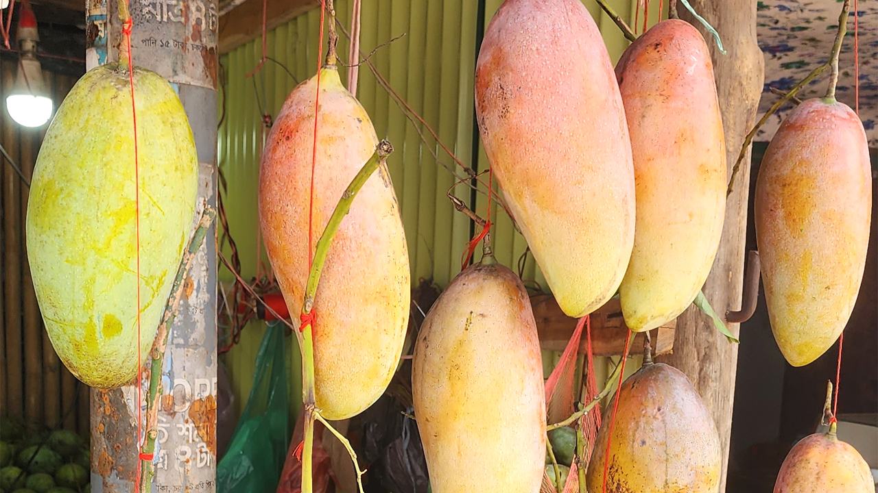 bandarban mango