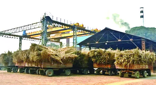 ভারতীয় প্রযুক্তিতে অটোমেশন পদ্ধতি বাস্তবায়ন নিয়ে শঙ্কা