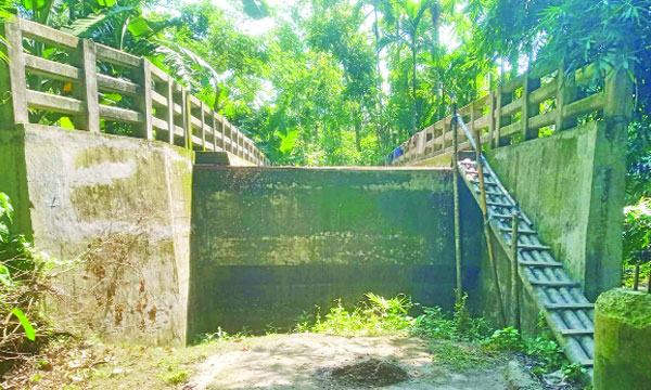 bangla-1