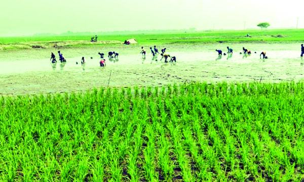 bangla-1