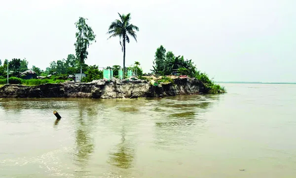 নাগরপুরে যমুনায় বিলীন হচ্ছে সলিমাবাদ ইউনিয়ন