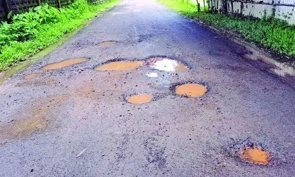 মাস না যেতেই উঠে গেছে ২ কোটি টাকার কার্পেটিং
