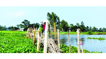 বাঁশের ভাঙা সাঁকোই ২০ হাজার মানুষের ভরসা