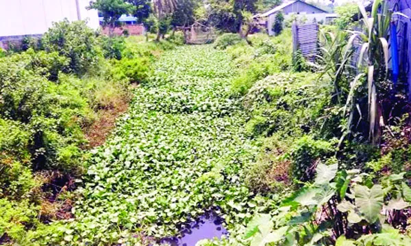 দখলদারদের কবলে গবাখাল জলাবদ্ধতায় নাকাল জামালপুর