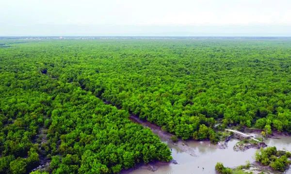 বেজার ৪১ হাজার একর জমি ফেরত চায় বন বিভাগ