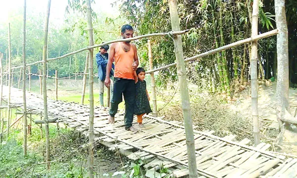 বাঁশের নড়বড়ে সাঁকোই তাদের ভরসা