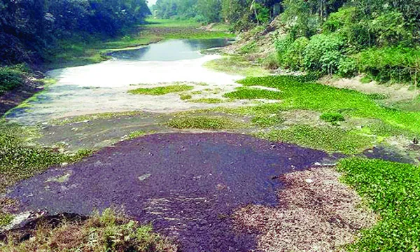 শিল্পবর্জ্যে মরে যাচ্ছে গাজিখালি নদী, জনজীবন অতিষ্ঠ