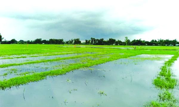 bangla-1