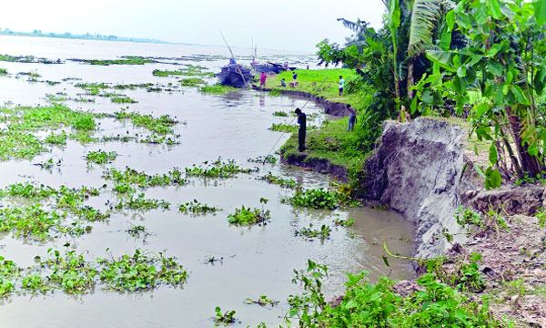 bangla-1