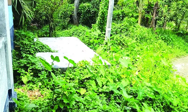 সেফটিক ট্যাংকে প্রলেপ  দিয়েই বিল উত্তোলন