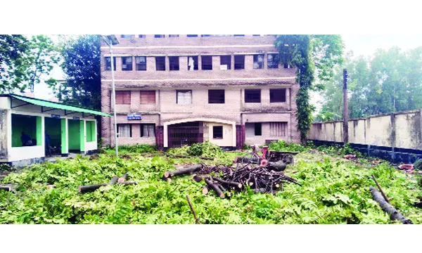 সৈয়দপুরে ফাইলেরিয়া হাসপাতালের গাছ কেটে সাবাড়