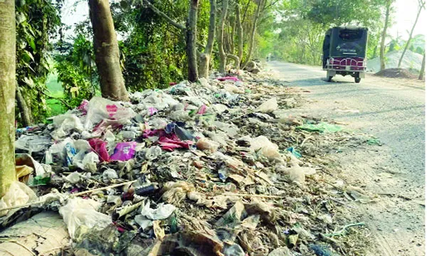 সালথায় সড়কের পাশে ময়লার ভাগাড়