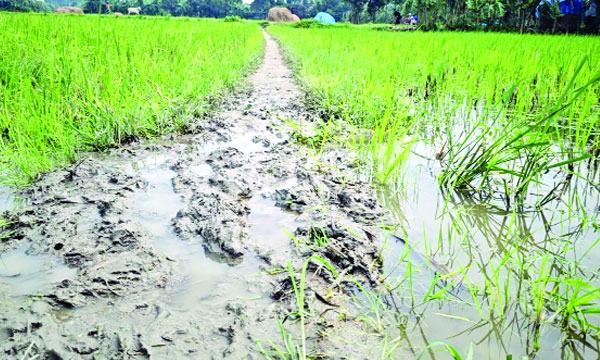 bangla-2