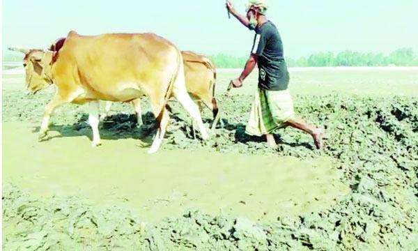 bangla-2