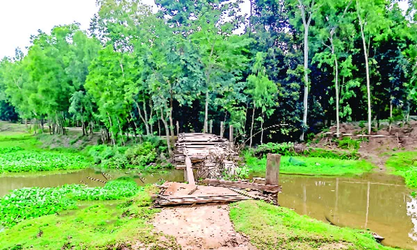 ৩০ বছরেও মেলেনি সেতু দুর্ভোগে ১০ গ্রামের মানুষ