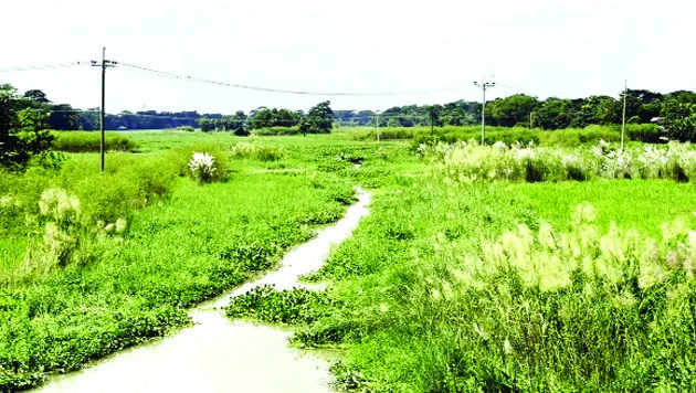 দখল ভরাটে কীর্তিনাশার শাখা নদী ময়লার স্তূপ