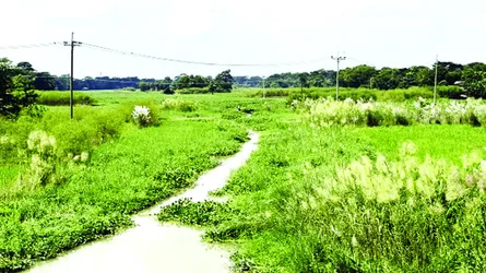 দখল ভরাটে কীর্তিনাশার শাখা নদী ময়লার স্তূপ