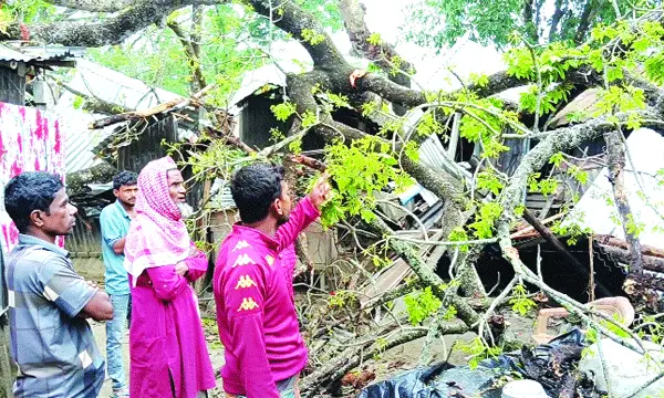 উলিপুরে এক শিক্ষকের সৃজনশীল দেশপ্রেম