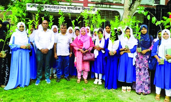 বৃক্ষরোপণ কর্মসুচি আছে, নেই কেবল যথাযথ পরিচর্যা