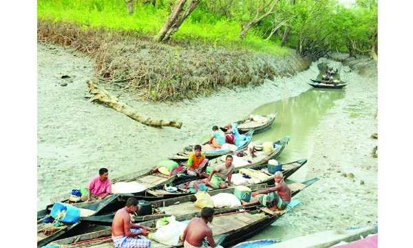 সুন্দরবনে মধু আহরণ শুরু ঝুঁকি নিয়ে মৌয়ালদের ছুটে চলা