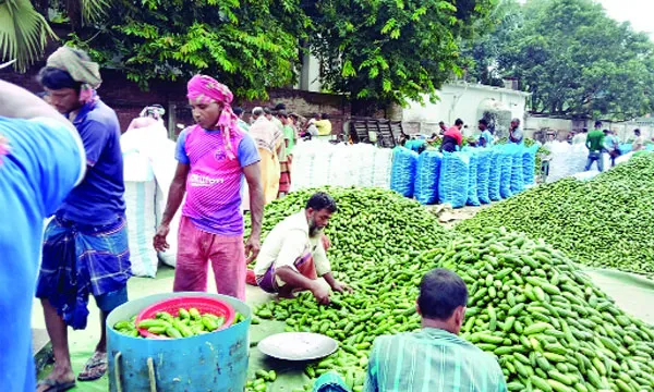বদলগাছীর হাট প্রভাবশালীদের ‘নিয়ন্ত্রণে’