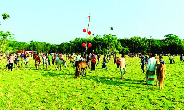 কাঁঠালিয়ায় ঘোড়দৌড় প্রতিযোগিতা অনুষ্ঠিত