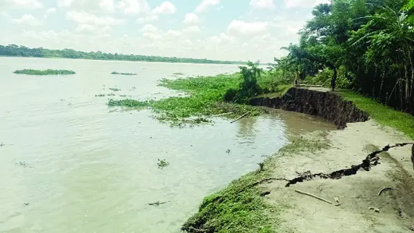 বিশখালীর ভাঙনে ঝুঁঁকিতে বাদুরতলা স্কুল ও আমনের ক্ষেত