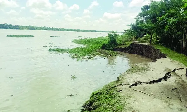 বিশখালীর ভাঙনে ঝুঁঁকিতে বাদুরতলা স্কুল ও আমনের ক্ষেত