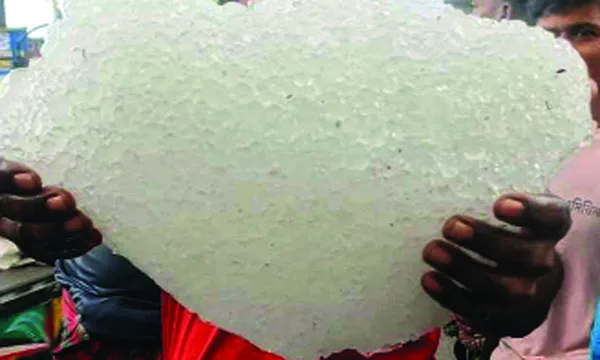 এক মণ ওজনের শিলা!