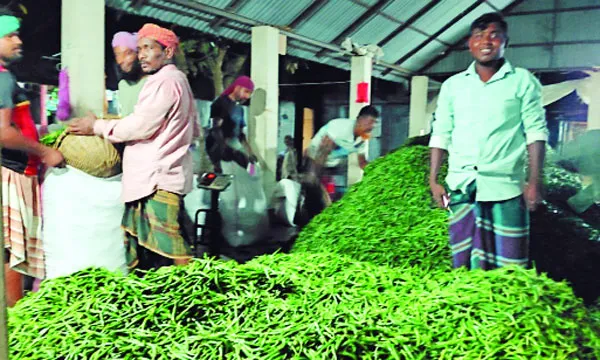 শিবালয়ে রাতের মরিচবাজারে উৎসব দুবাই-মালয়েশিয়ায় রফতানি