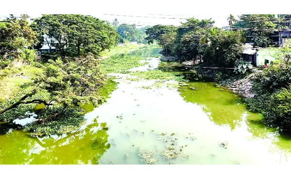 দখল-দূষণে মৃতপ্রায় চিত্রা নদী