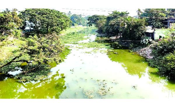 bangla-3