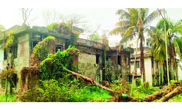 কাউখালীতে সরকারি কোয়ার্টার সঙ্কট, অধিকাংশ ভবন পরিত্যক্ত