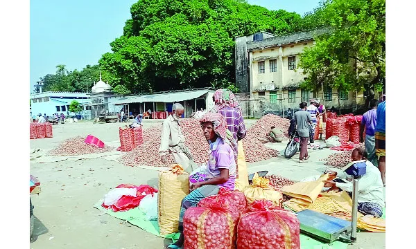 পেঁয়াজ চাষে লোকসানের মুখে দুর্গাপুরের কৃষকরা