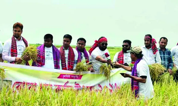 ধর্মপাশায় বোরো ধান কর্তন উৎসব, বাম্পার ফলনে কৃষকের হাসি