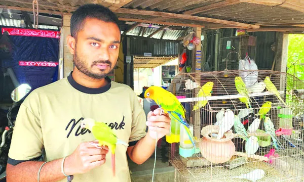 শখ থেকে স্বাবলম্বী : পাখির  খামারে বদলে যাওয়া জীবন