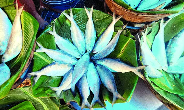 পয়লা বৈশাখে সাধারণের নাগালের বাইরে ইলিশ