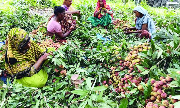 bangla-4