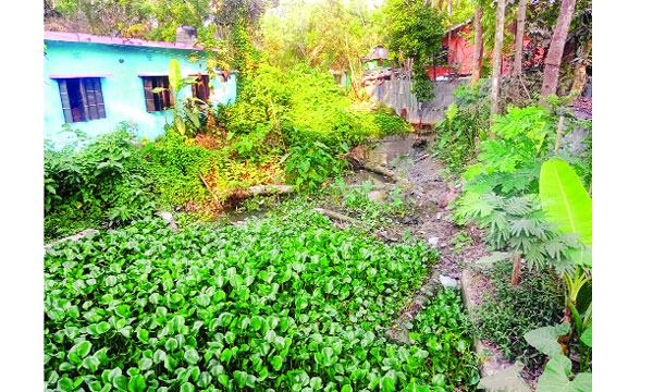 bangla-4