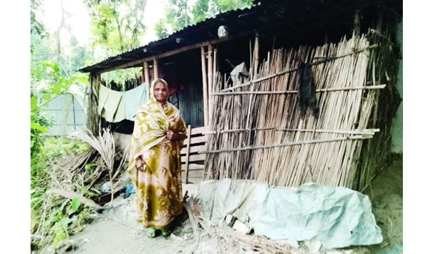 bangla-4