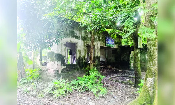 উজিরপুরে গাছপালায় ঢেকে গেছে স্যানিটারি ইন্সপেক্টরের কার্যালয়