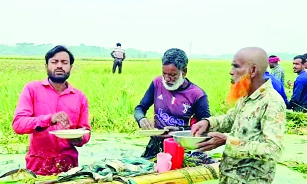 কোমর পানিতে দাঁড়িয়ে খাবার খাচ্ছেন কৃষক