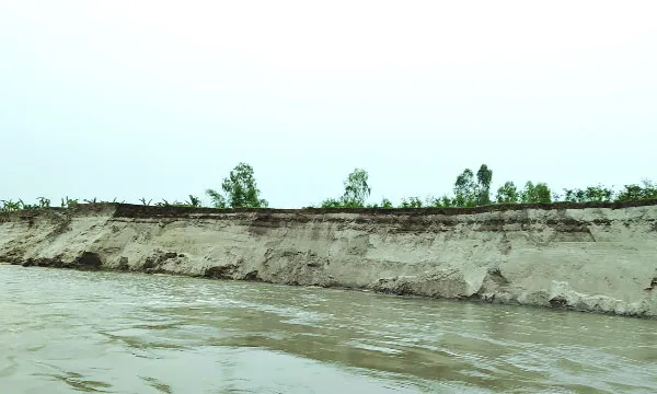 যমুনার গ্রাসে বিলীন হচ্ছে  সাপধরী ও মুন্নিয়া গ্রাম