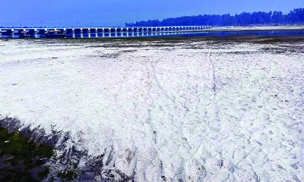 তিস্তায় ধু-ধু বালুচর, দুর্ভোগে উলিপুরের জনপদ