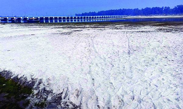 bangla-4