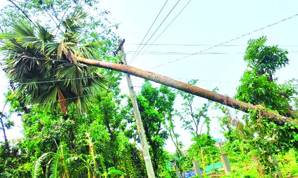 কালবৈশাখীর তাণ্ডবে কুমিল্লায় ২৭ হাজার গ্রাহক বিদ্যুৎহীন, বিপর্যস্ত জনজীবন
